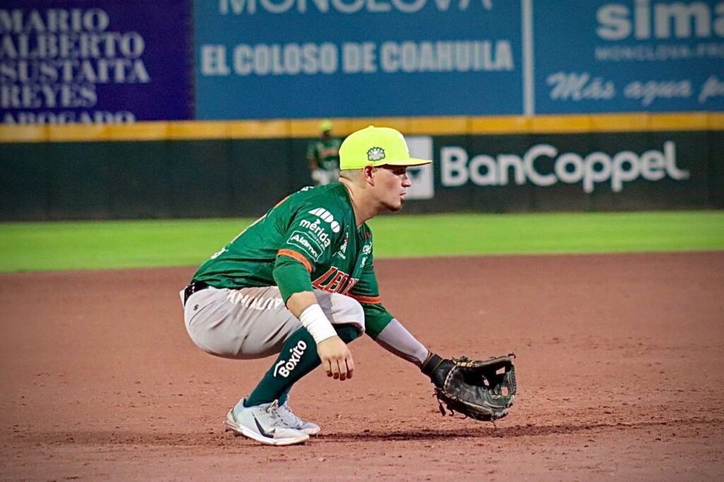 MADERO ENCENDIDO CON LEONES